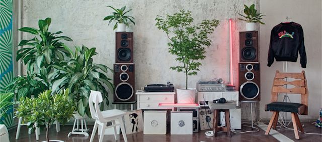 De la plante verte à rendre jaloux Mowgli