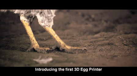 Support a unique startup initiative in Africa