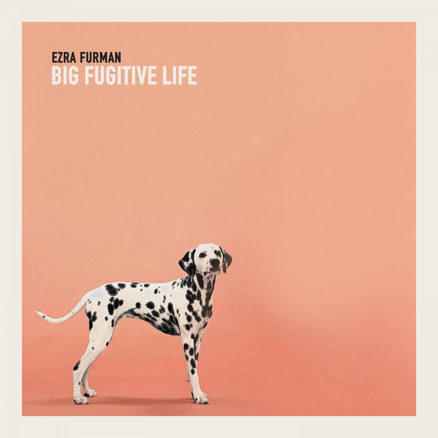ezra furman big fugitive life