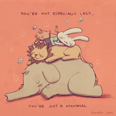 Tu n'es pas fainéant, tu es juste un mammifère