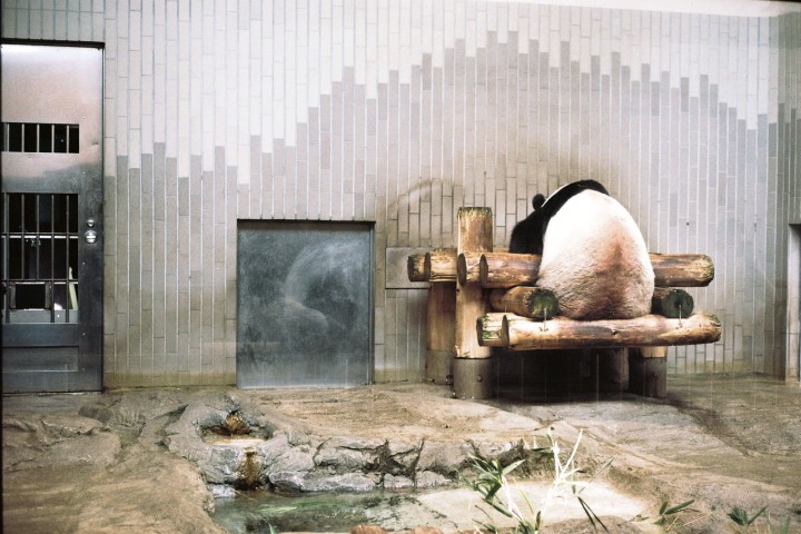 leo-berne-for-the-aliens-11