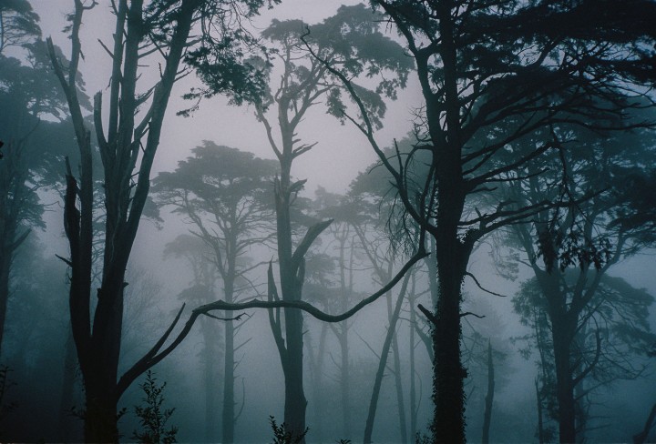 leo-berne-for-the-aliens-13