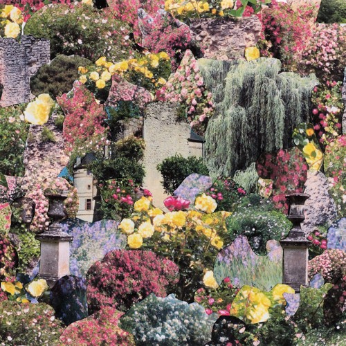 kanzi-sketches-early-summer