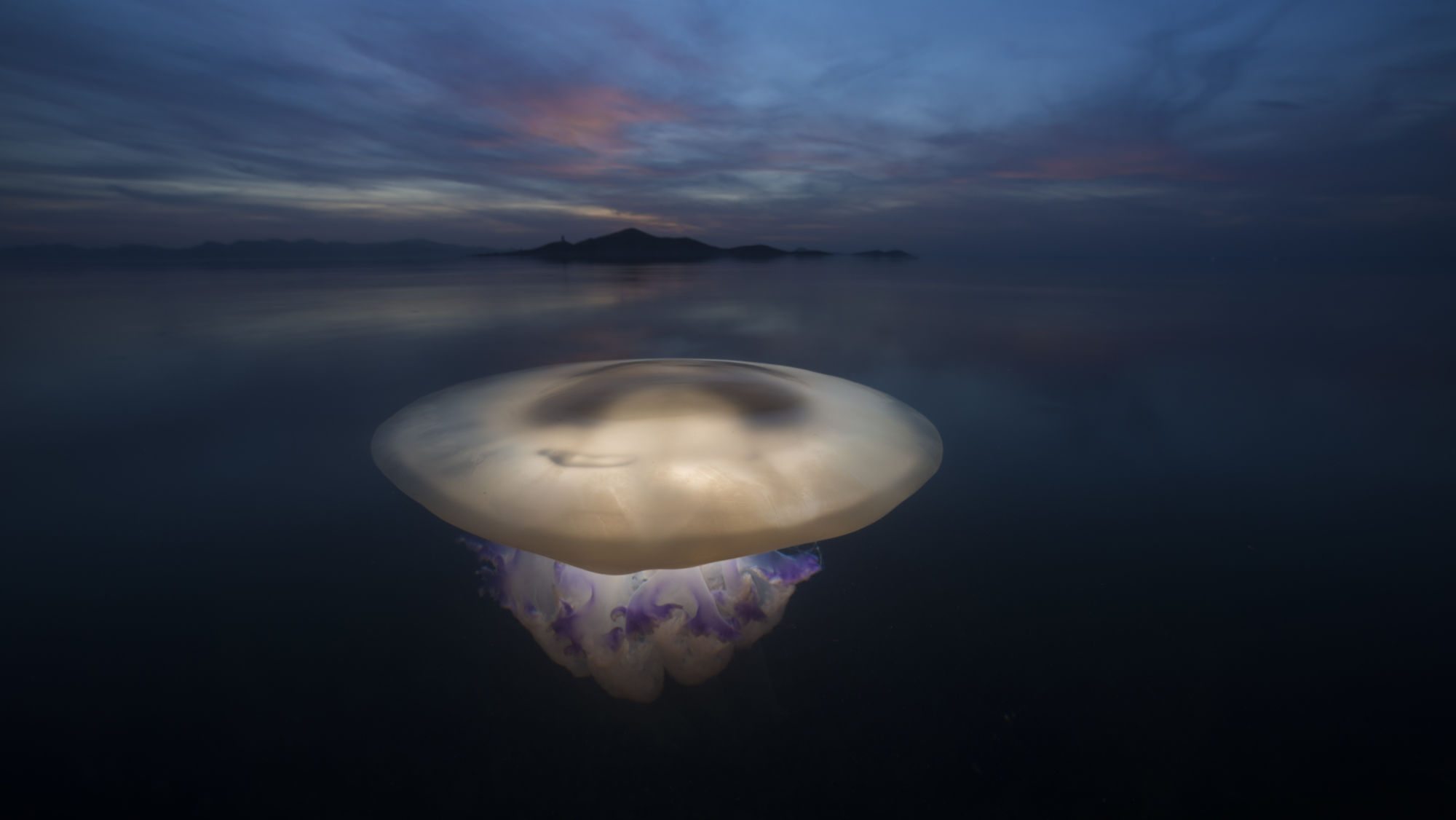 wildlife-photographer-of-the-year-5