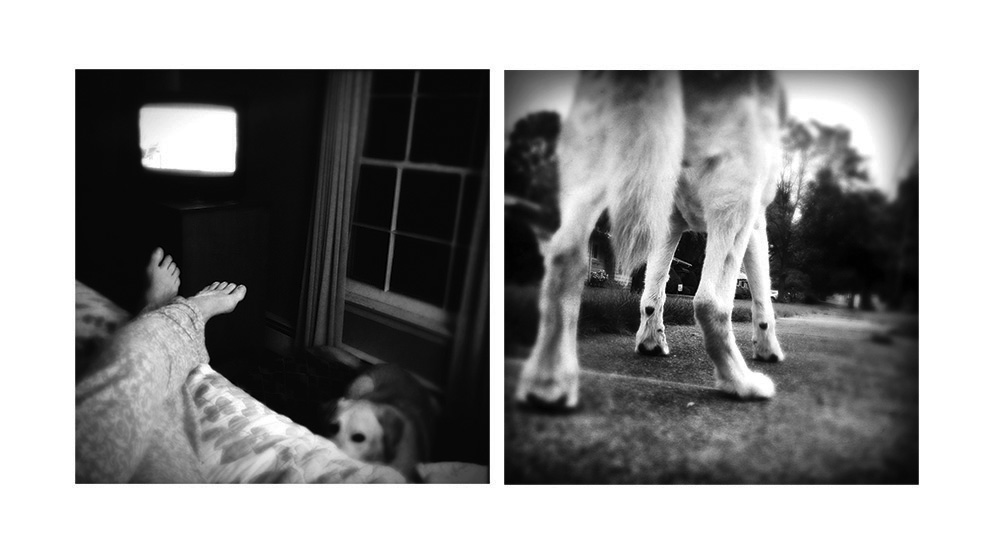 benny-was-a-good-boy-1