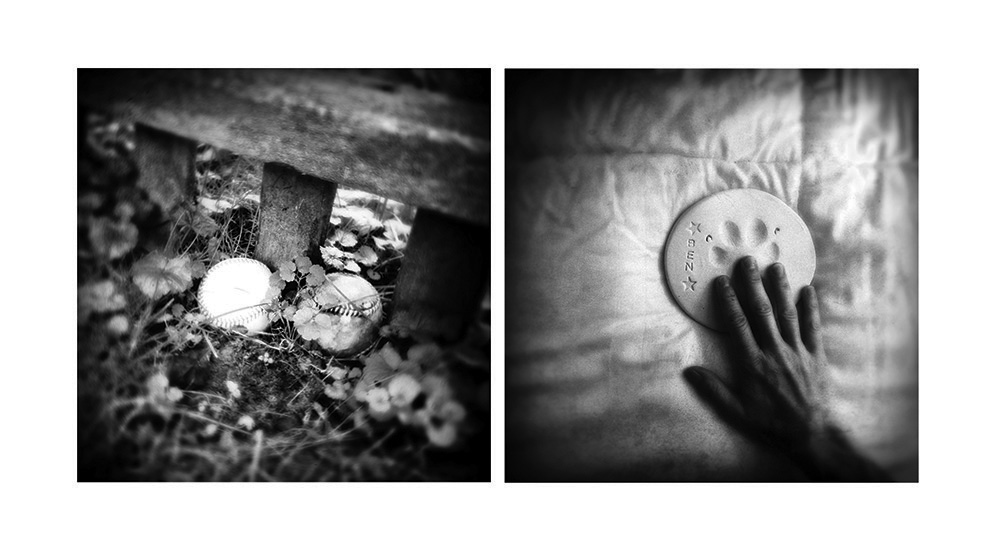 benny-was-a-good-boy-10