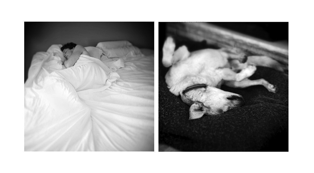 benny-was-a-good-boy-2