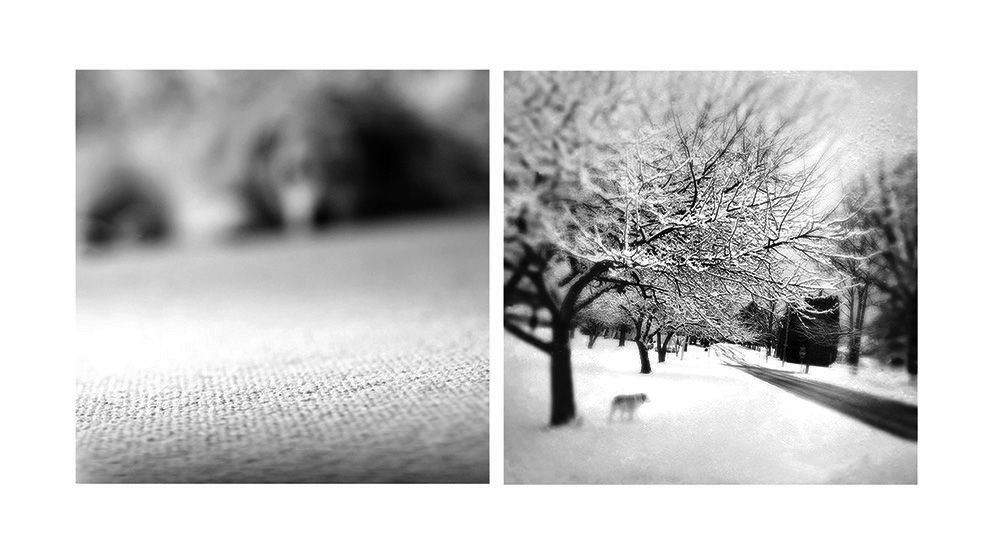 benny-was-a-good-boy-3