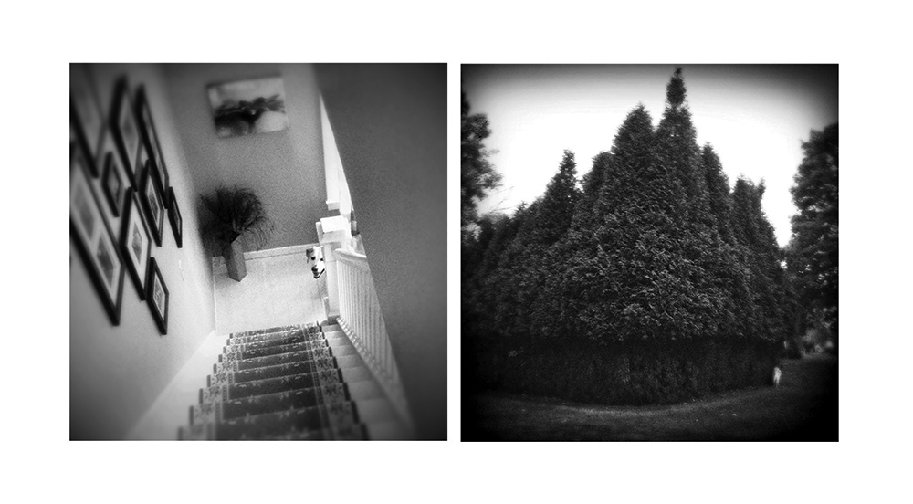 benny-was-a-good-boy-4