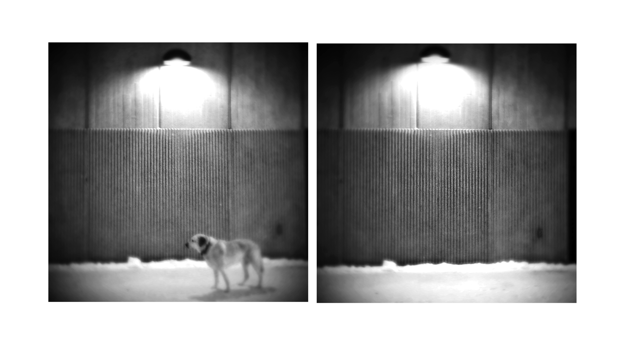 benny-was-a-good-boy-5