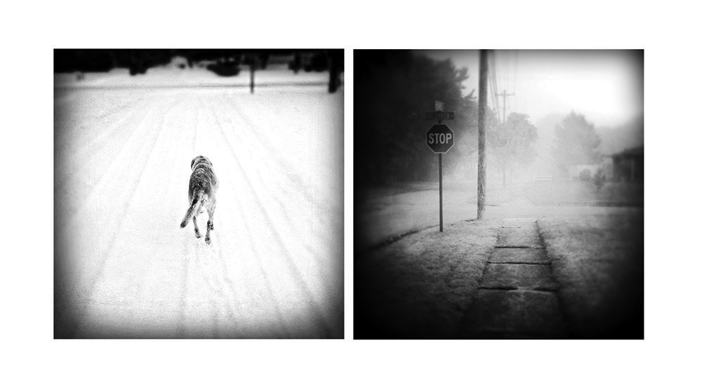 benny-was-a-good-boy-9