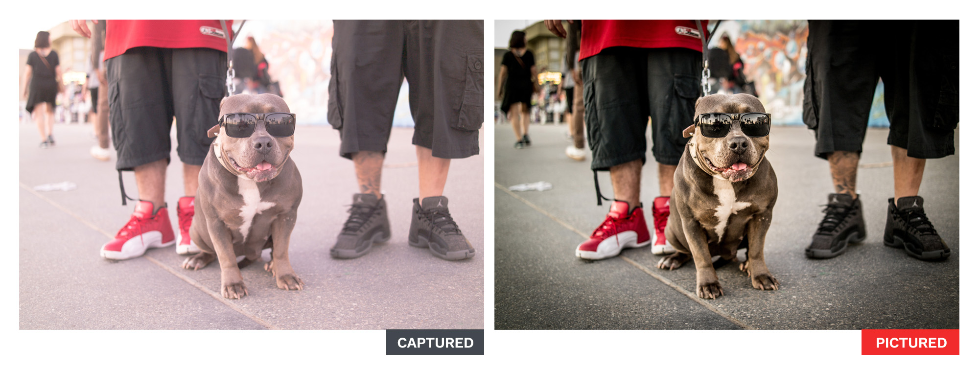 captured-pictured_03