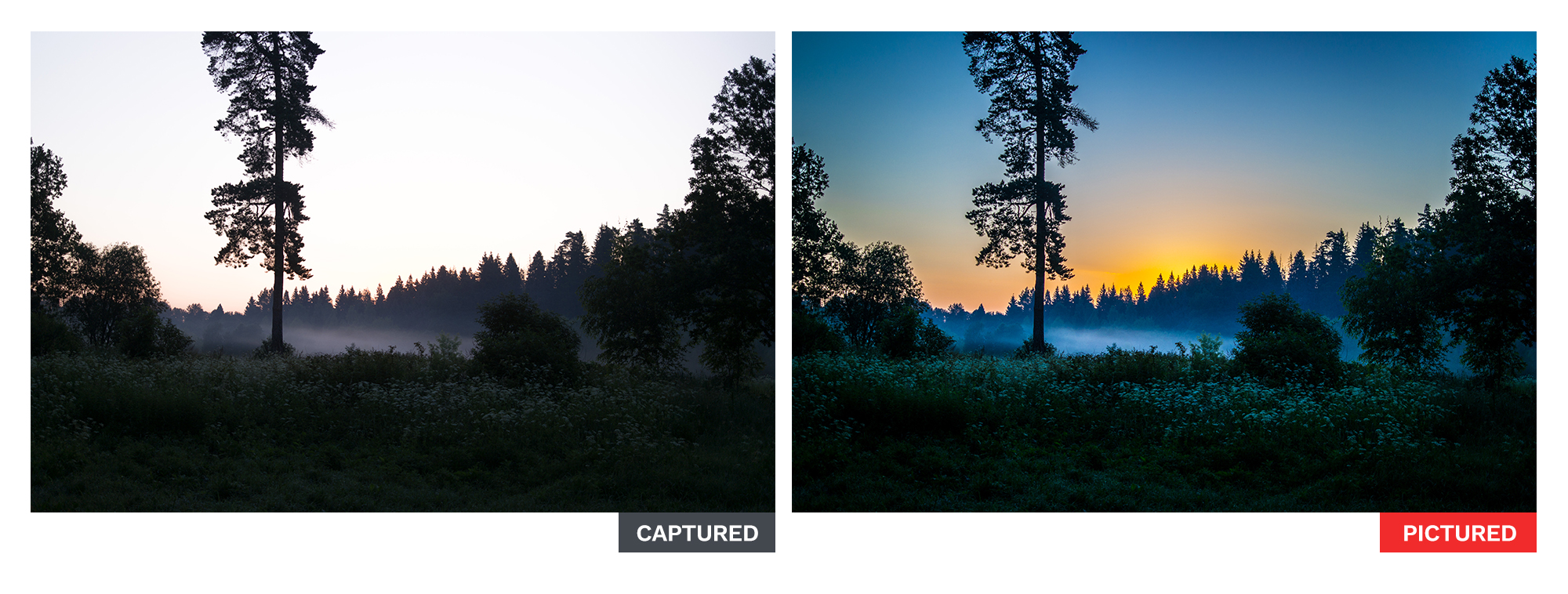 captured-pictured_10