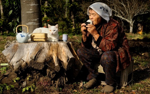 Grandma Cat Miyoko Ihara 12