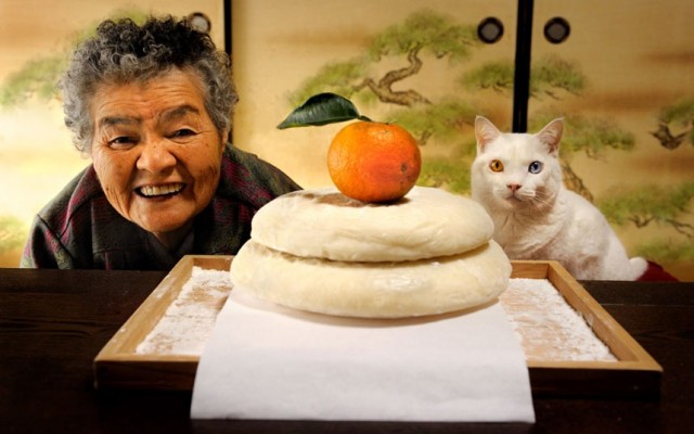 Grandma Cat Miyoko Ihara 2