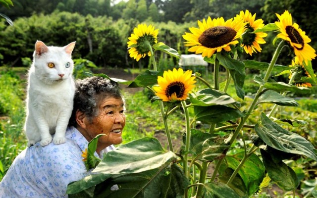 Grandma Cat Miyoko Ihara 6