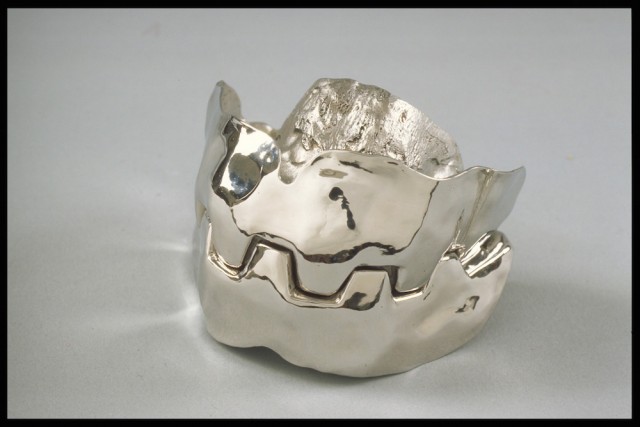 Jaws' Teeth